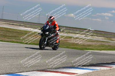 media/Mar-23-2025-TrackDaz (Sun) [[88a7749186]]/C Group/1240pm (Wheelie Bump)/